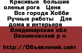 Красивые  большие оленьи рога › Цена ­ 3 000 - Все города Хобби. Ручные работы » Для дома и интерьера   . Владимирская обл.,Вязниковский р-н